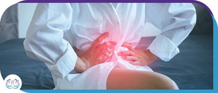 The Major Role of Estrogen in Women’s Health - Michelle Trandai, MD in Chicago, IL The Major Role of Estrogen in Women’s Health - Michelle Trandai, MD in Chicago, IL