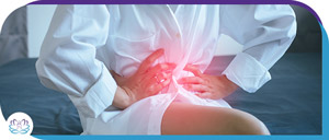 The Major Role of Estrogen in Women’s Health - Michelle Trandai, MD in Chicago, IL The Major Role of Estrogen in Women’s Health - Michelle Trandai, MD in Chicago, IL