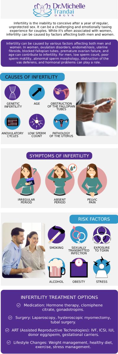 Are you struggling to have a baby? You are not alone. If you are struggling with infertility, we are here to help. Dr. Michelle Trandai, MD, in Chicago, IL, Infertility Clinic. Please call us for more information or book an appointment online. We serve patients from Chicago IL, Evanston IL, Ravenswood IL, Uptown IL, Lake View IL, Lincoln Park IL, Buena Park IL, Bowmanville IL, Boystown IL and Roscoe Village, IL.