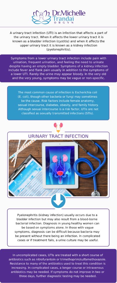 UTI treatment typically involves antibiotics to eradicate the bacterial infection and pain relievers to alleviate discomfort. Drinking water and urinating frequently can help flush out bacteria, while cranberry juice may offer relief. Seeking medical advice from Dr. Michelle Trandai MD is crucial to ensure proper diagnosis and treatment of UTIs, especially in cases of recurrent infections or complications. For more information, contact us or request an appointment online. Visit us at 5449 N Broadway, Chicago, IL 60640.